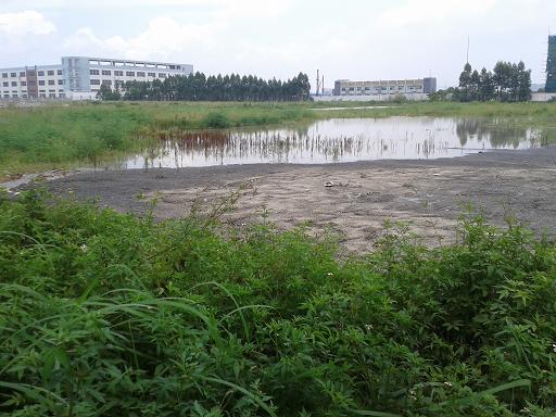 东莞工业地出售-松山湖地皮出售20亩